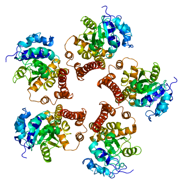 ملف:Protein PYCR1 PDB 2ger.png