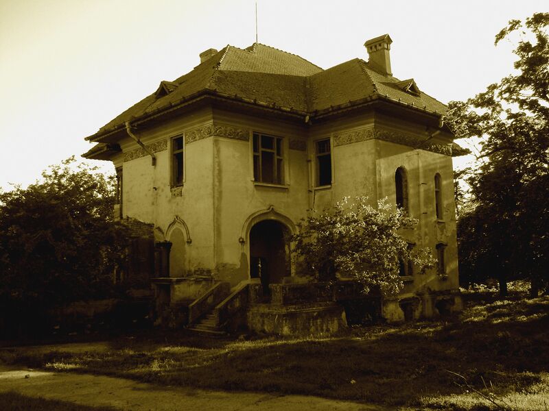 ملف:Poian Olt-Vechiul conac.jpg