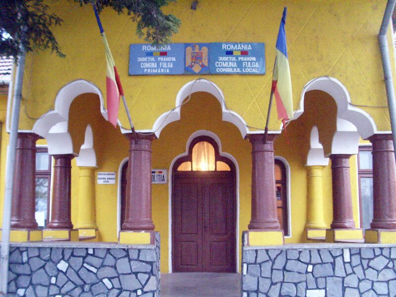 ملف:Primaria fulga.JPG