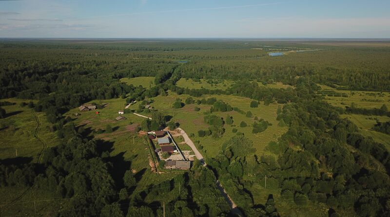 ملف:Росликово (Кирилловский район).jpg