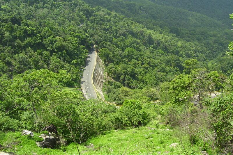 ملف:20080504 Misc 01.jpg