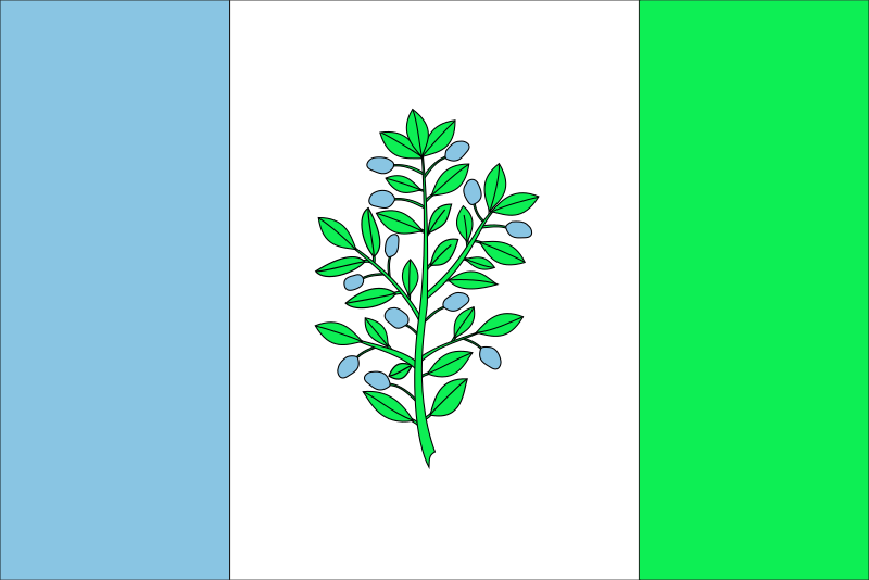 ملف:Bandera de Martorelles.svg