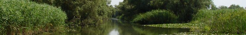 ملف:Danube delta banner 1.jpg