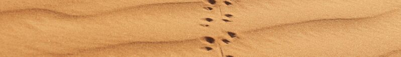 ملف:Footprints Banner.jpg