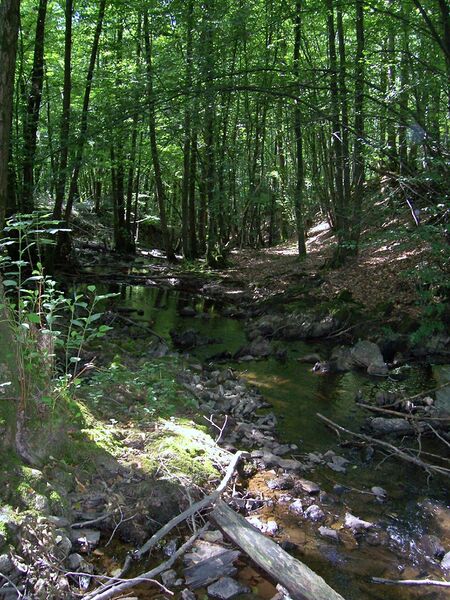 ملف:Gland (rivière).JPG