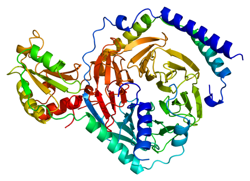 ملف:Protein GNB1 PDB 1a0r.png