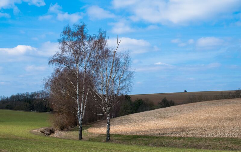 ملف:Deubach 20130401.jpg