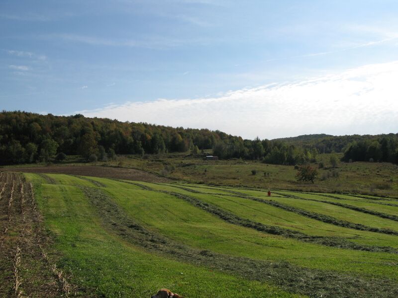 ملف:Fairfield Sept2007.JPG