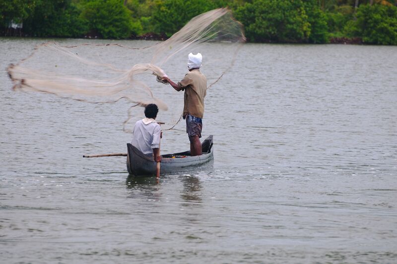 ملف:Fishing (6677731439).jpg