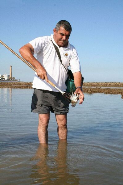 ملف:Francajo 2.JPG