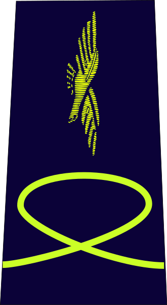 ملف:French Air Force-aspirant non-élève.svg