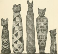 Mummified cats in the Natural History Museum, London