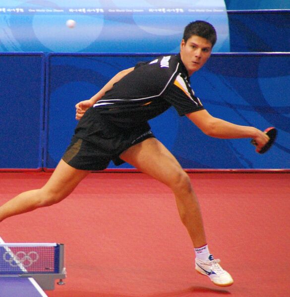 ملف:Dimitrij Ovtcharov 2008.jpg