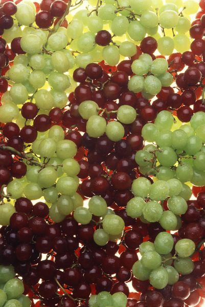 ملف:Ripe grapes.jpg