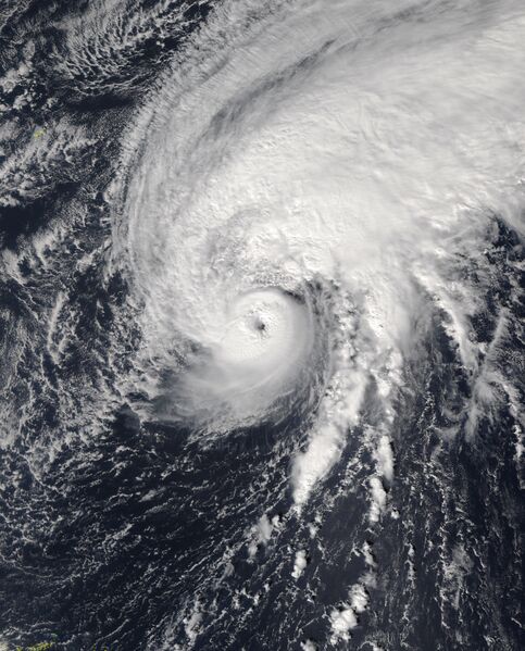 ملف:Tammy 2023-10-25 1650Z.jpg