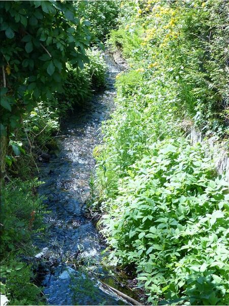 ملف:Bulachbach 01.jpg