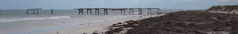 ملف:Eucla Pier 7-1.jpg