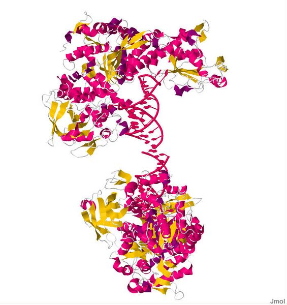 ملف:FeRegulatoryProtein.pdb.jpg
