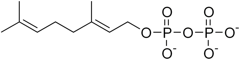 ملف:Geranyl pyrophosphate.png