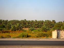 ناحية ابي غرق