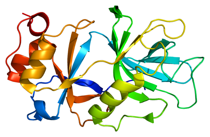 ملف:Protein SNUPN PDB 1xk5.png