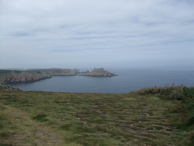 ملف:Rivage d'Ouessant 3.JPG