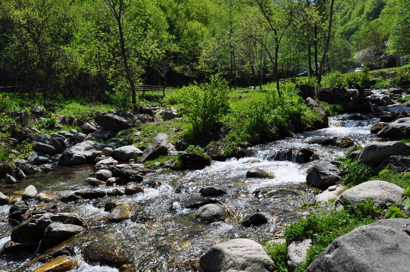 ملف:Suseni (46).JPG