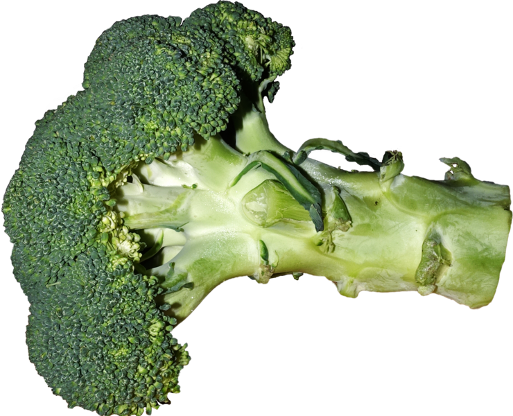 ملف:Broccoli.png