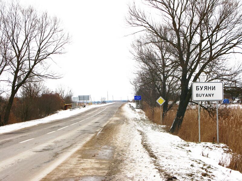 ملف:Буяни з Торчина.jpg