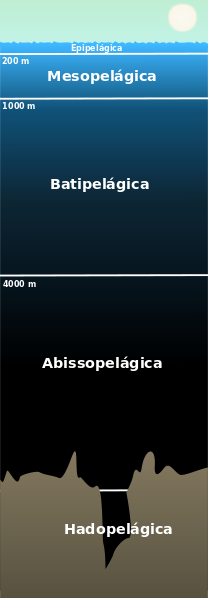 ملف:Pelagiczone pt.svg