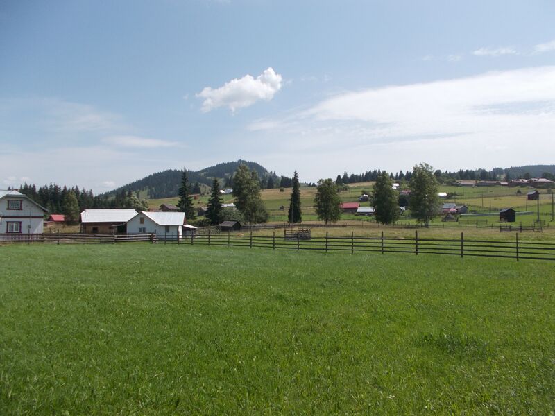 ملف:RO SV Poiana Negrii.JPG