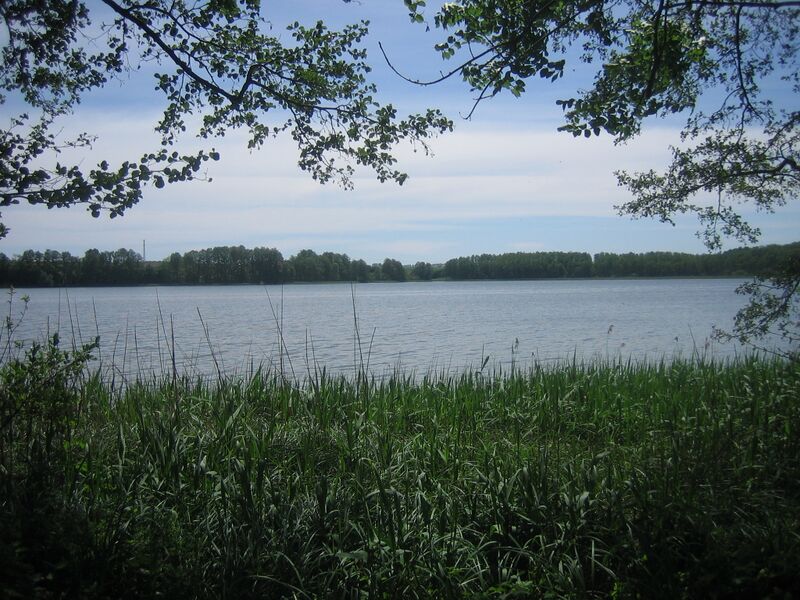 ملف:Camminer See 01.JPG