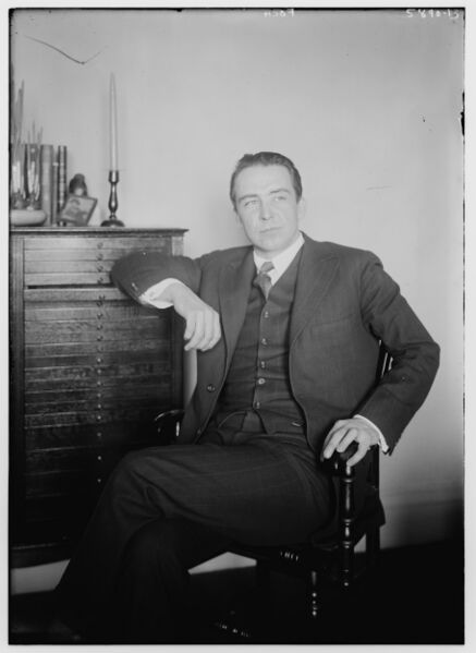 ملف:Foch LCCN2014715443.jpg