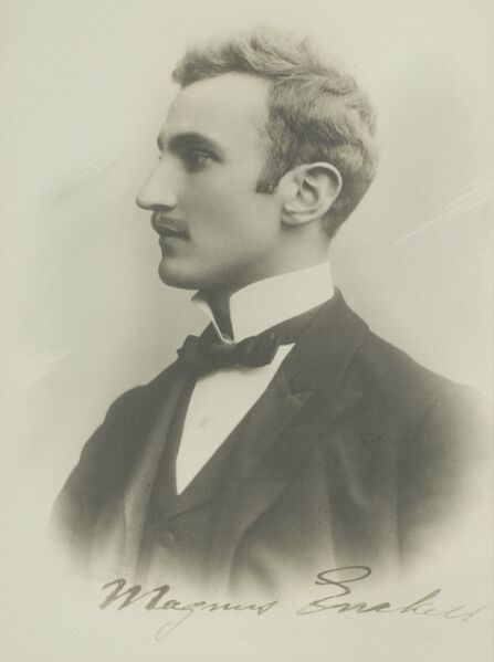 ملف:Magnus Enckell.jpg