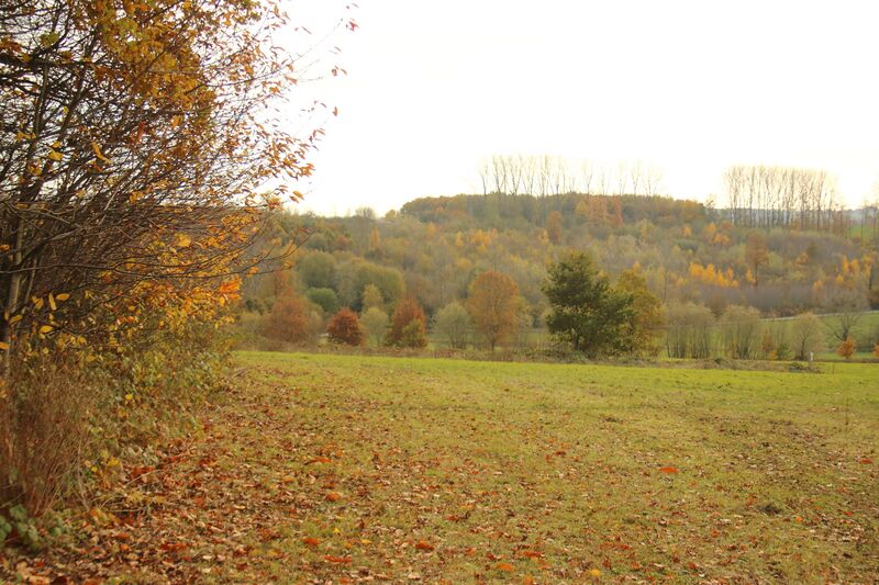 ملف:Middenloop Zwalm 41.jpg