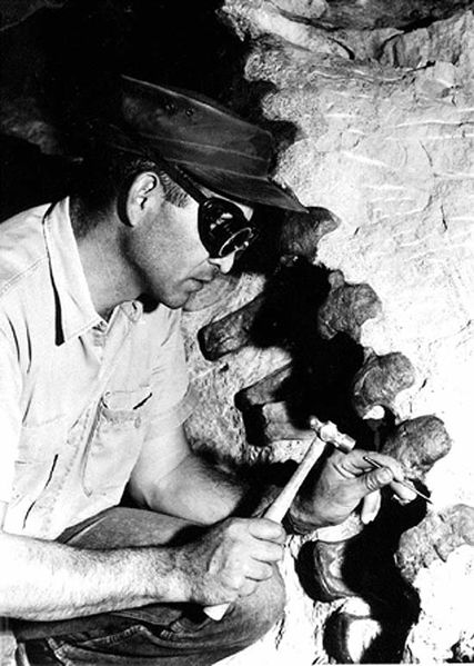 ملف:Paleontologist chipping.jpg