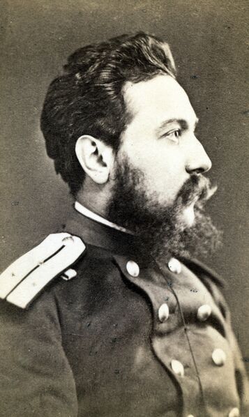 ملف:Vsevolod Krestovsky (1880s).jpg