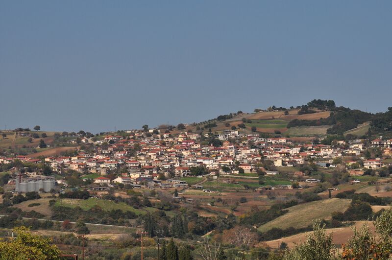 ملف:Zeli Lokridas2.jpg