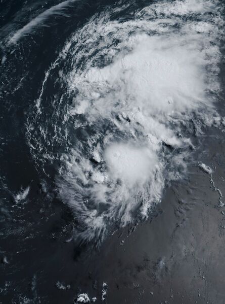 ملف:Cindy 2023-06-24 1220Z.jpg