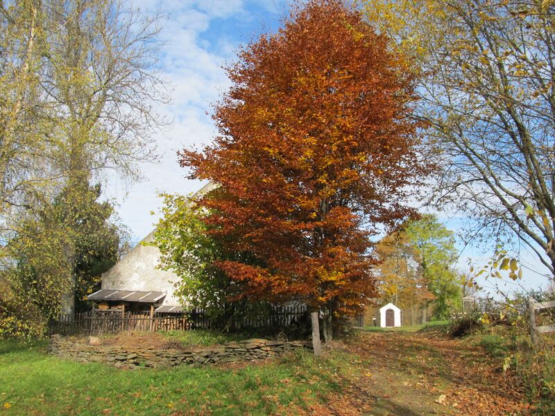 ملف:Jarkovice 1.JPG