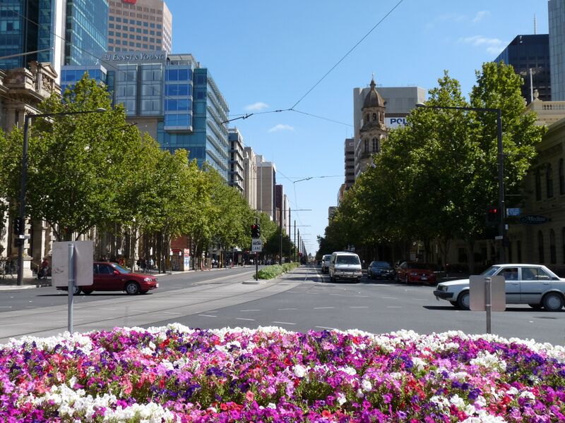 ملف:King William Street-Adelaide.jpg