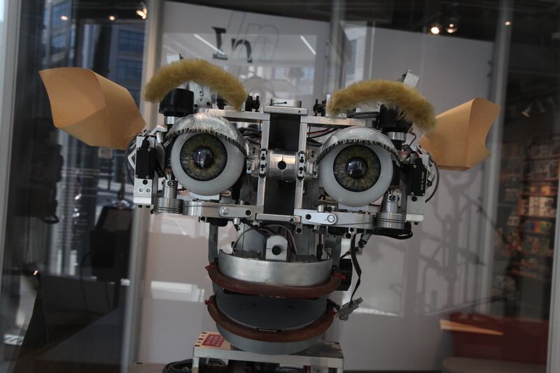 ملف:Kismet-IMG 6007.JPG