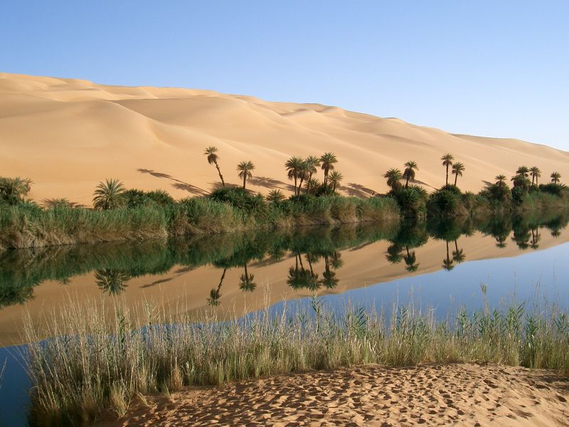 ملف:Oasis in Libya.jpg