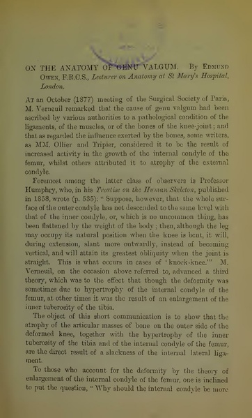 ملف:On the anatomy of genu valgum (IA b22453982).pdf