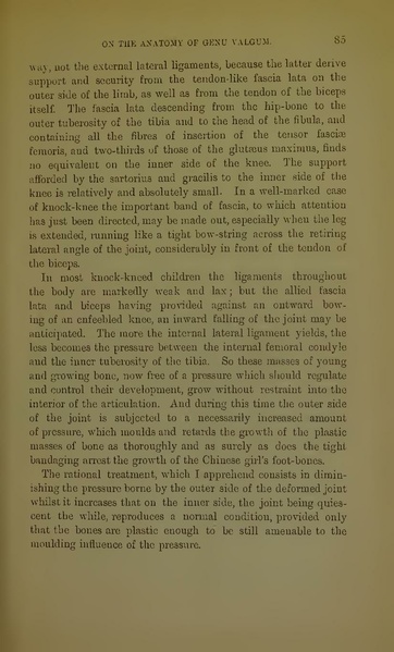 ملف:On the anatomy of genu valgum (IA b22453982).pdf
