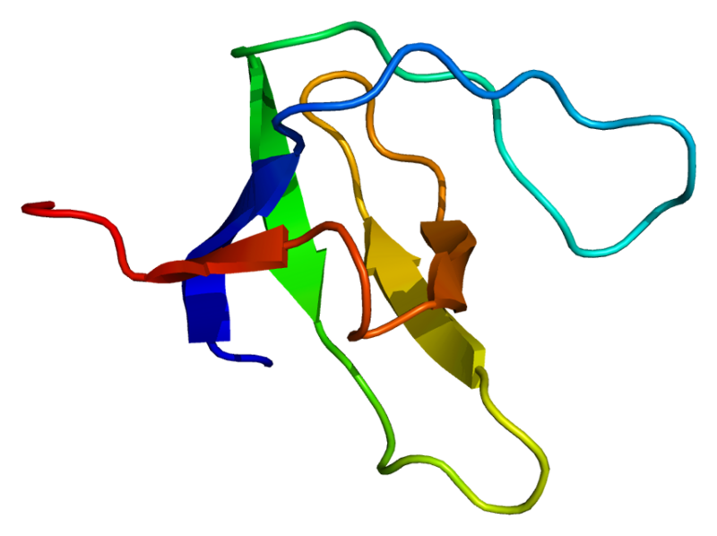 ملف:Protein NPHP1 PDB 1s1n.png
