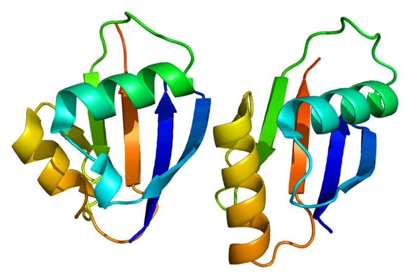 ملف:Protein PARD6A PDB 1wmh.png