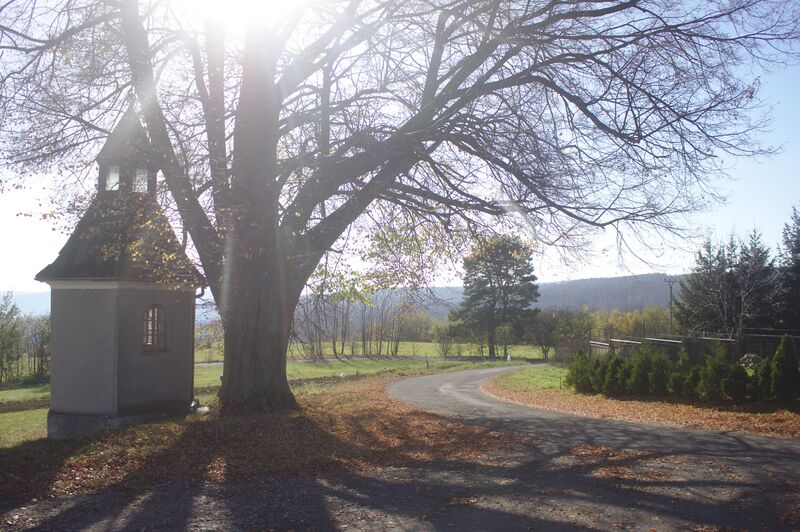 ملف:Janoušov, náves.jpg