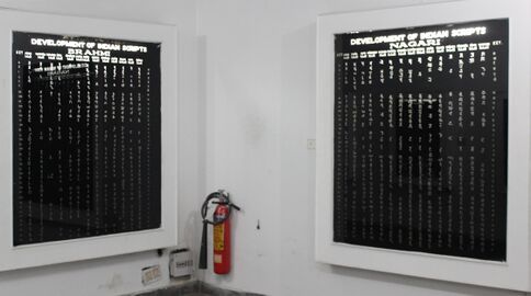 Inside the Galleries of National Museum, New Delhi