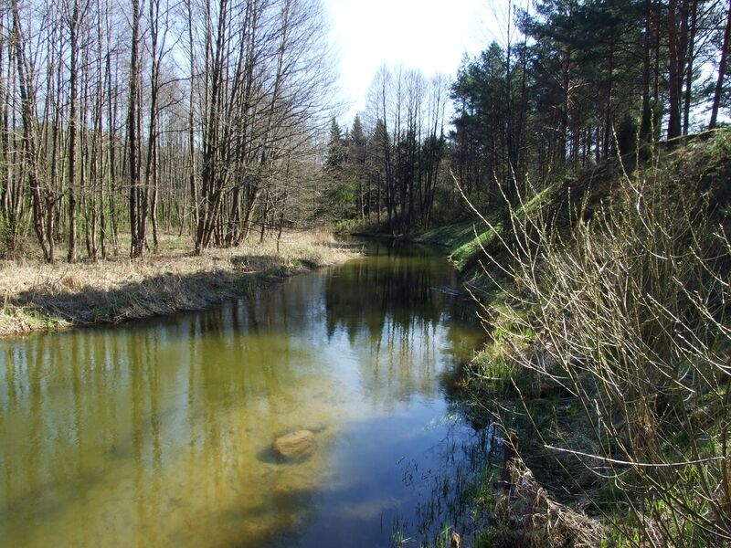 ملف:Ancia river.JPG